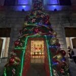 Con encendido de árbol Centro Tolzú invita a celebrar la Navidad