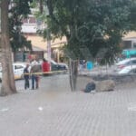 Hombre muere  junto a imagen de la virgen y el Ahuehuete 