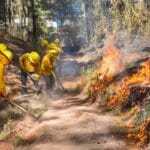 Toluca vigilará y sancionará a quienes provoquen incendios forestales y quema de pastizales