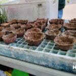 Trueque ecológico impulsa el reciclaje en Toluca