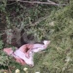 Hallan cuerpo putrefacto; podría ser un hombre desaparecido 