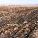 Quemas agricolas y de pastizales persisten pese a prohibición. Hay multas de hasta 117 mil pesos