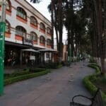 Negocios de Paseo Colón se llenarán de flores con Festival primaveral