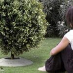 Cementerios ecológicos serán opción económica no obligada