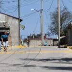 Toluca tiene un déficit del 77% en arbolado urbano, genera islas de calor