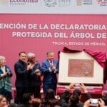 Árbol de la vida es reconocido por su origen en Metepec