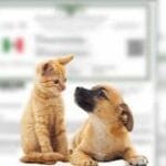 Mascotas mexiquenses tendrán su propio “CURP”, registro será obligatorio