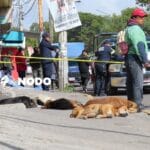 Muere hombre en la calle; perritos no lo abandonaron 