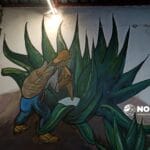 Pulque mexiquense va por declaratoria como Patrimonio Cultural