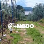 Doble feminicidio el fin de semana al sur del Edomex 